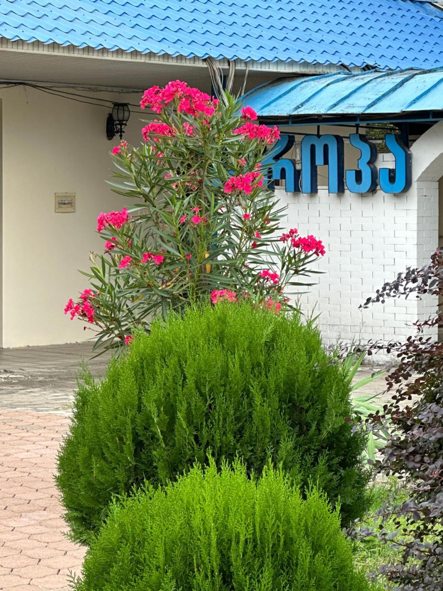 Europa Hotel-Kutaisi Exterior foto